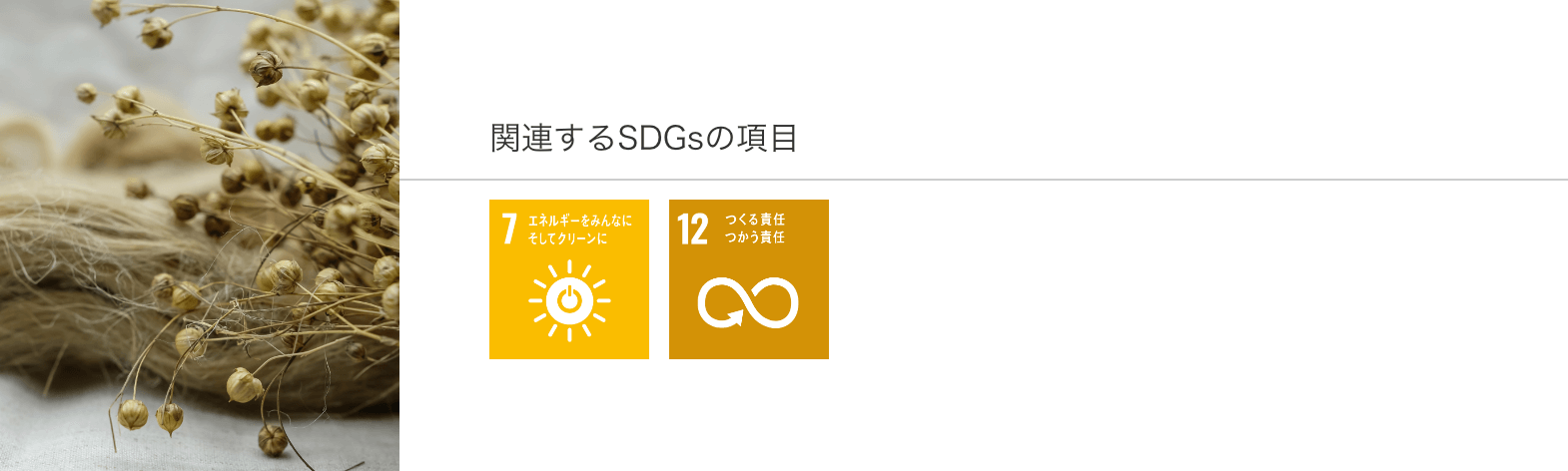 関連するSDGsの項目
7.エネルギーをみんなに そしてクリーンに
12.つくる責任 つかう責任
