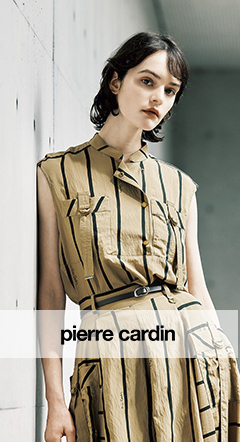 pierre cardin