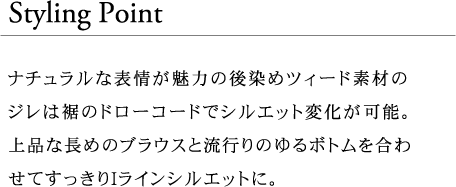 スタイルポイント