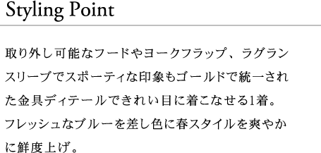 スタイルポイント