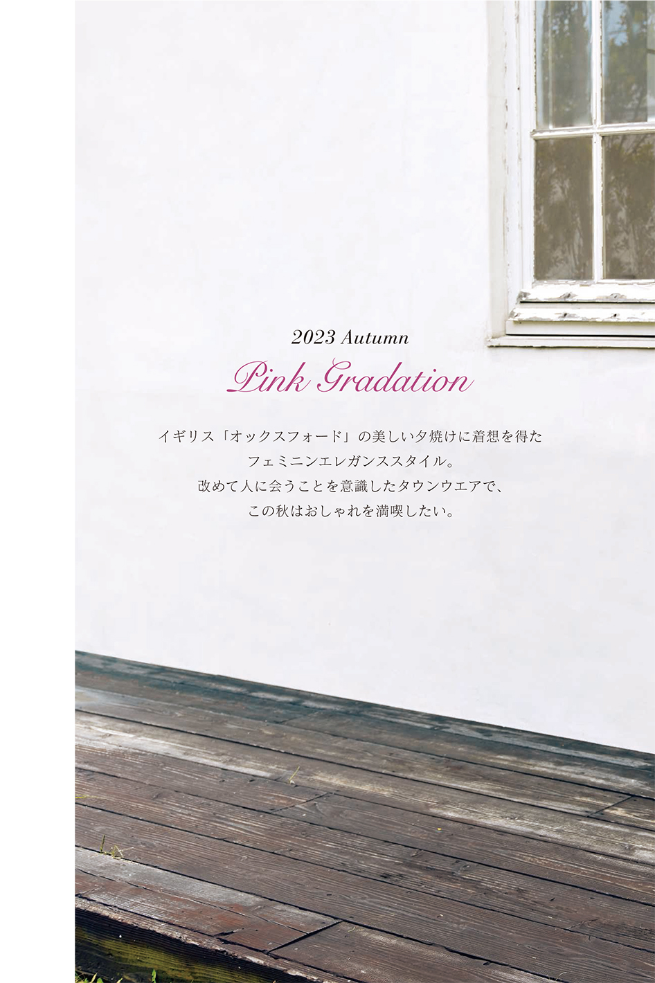 JUDY COLLECTION 2023 Autumn-Winter