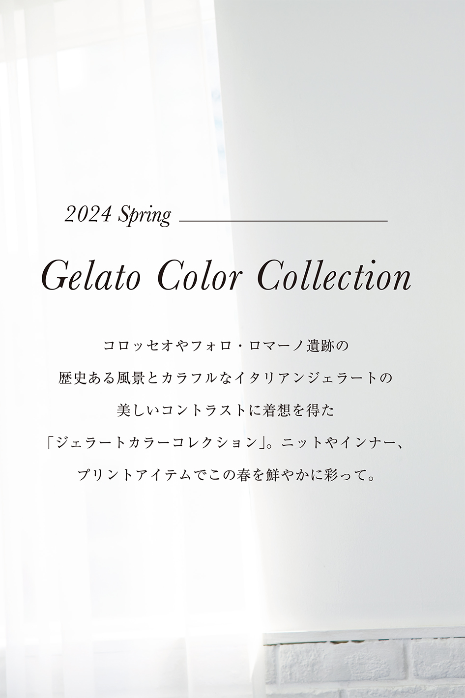 JUDY COLLECTION 2024 Spring-Summer