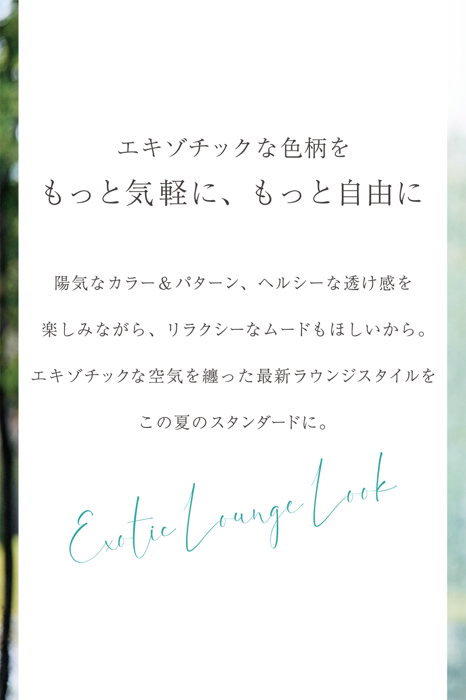 PINORE 55th 2024 SUMMER