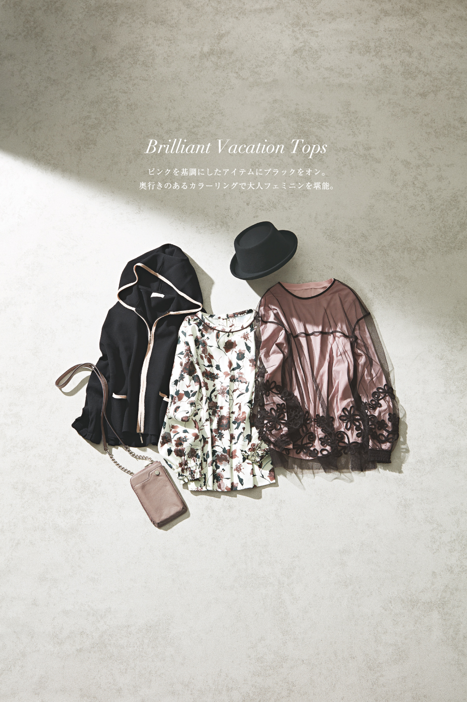 JUDY COLLECTION 2024 Autumn August