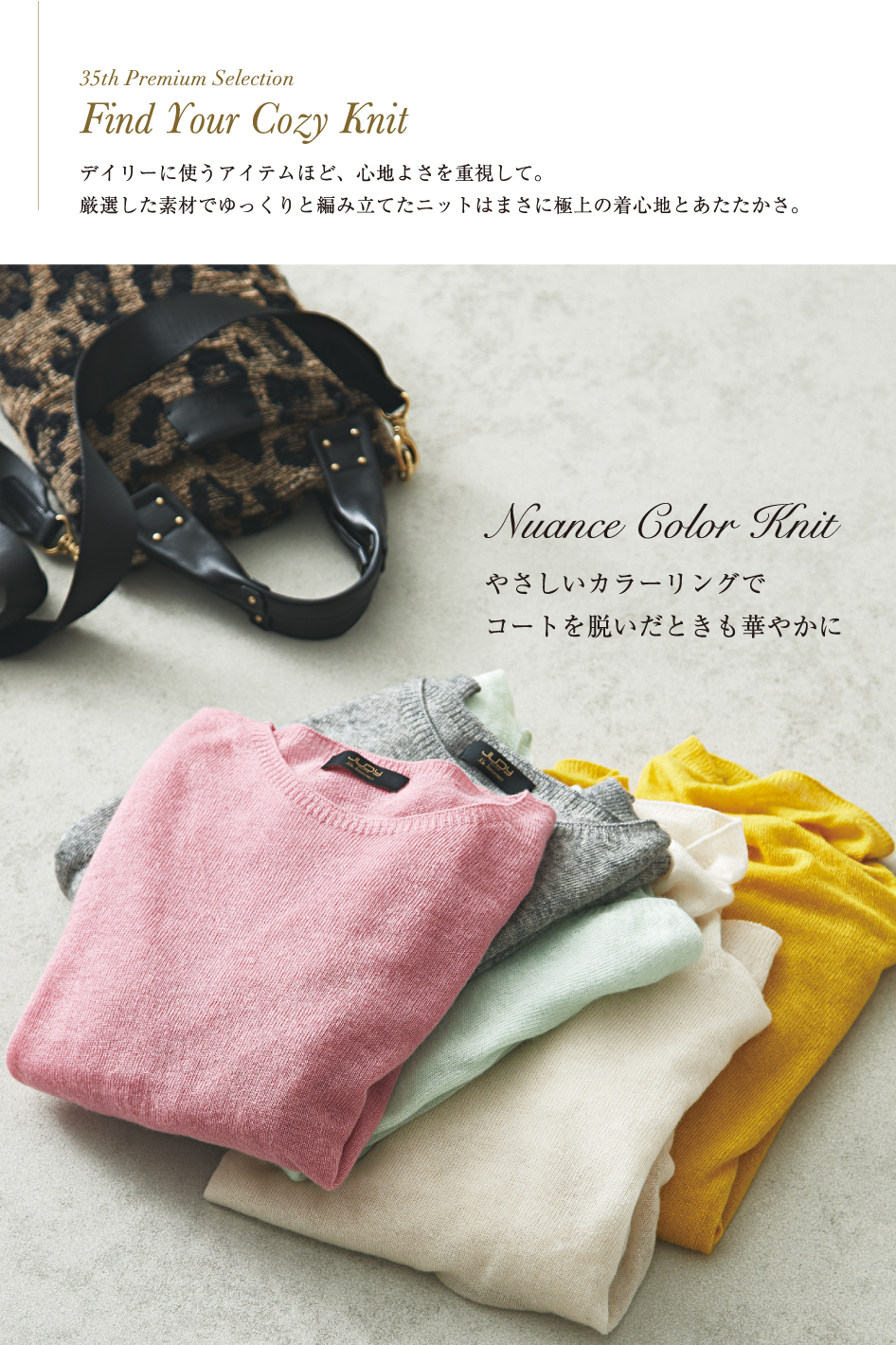 JUDY COLLECTION 35th Anniv. 2024 Winter October