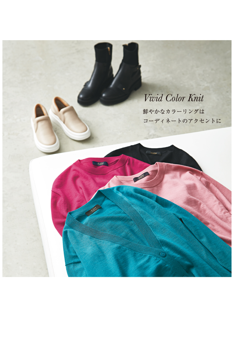 JUDY COLLECTION 35th Anniv. 2024 Winter October