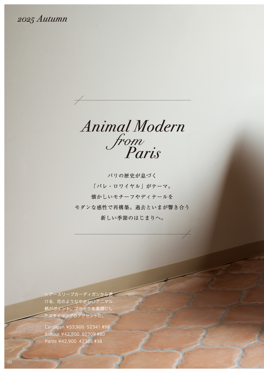 JUDY COLLECTION 2025 Autumn August