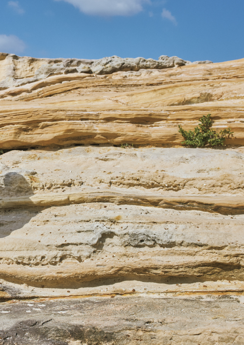 PRIDE 2026 Spring Collection