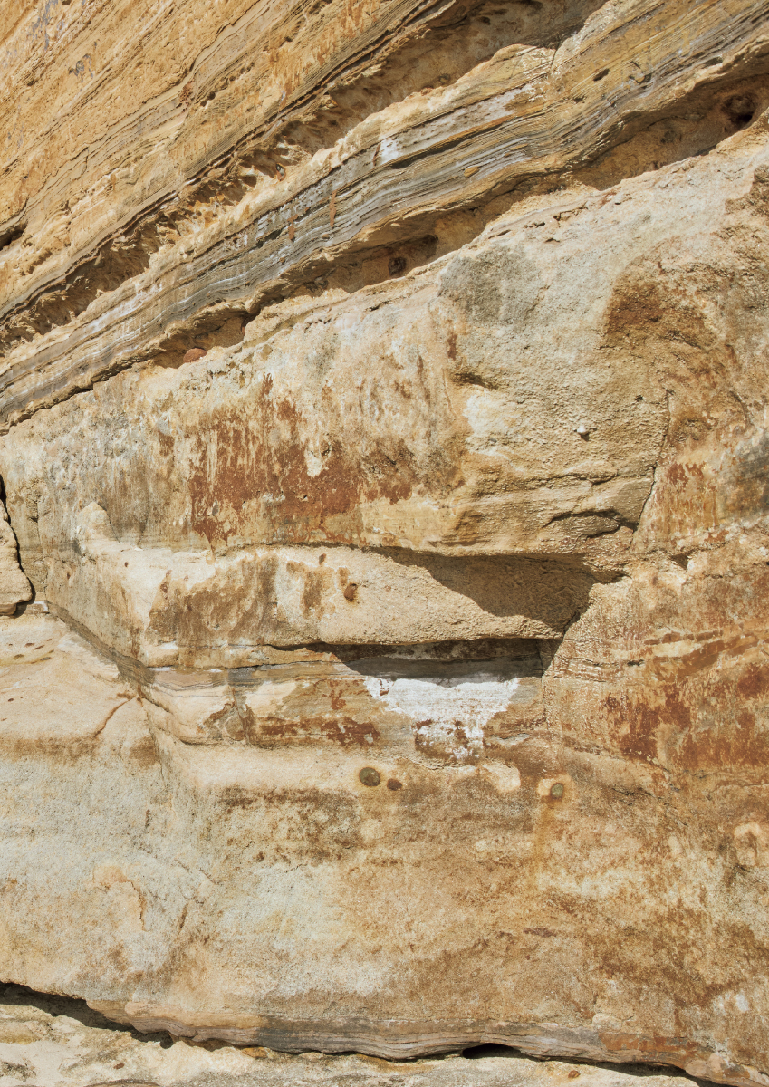 PRIDE 2026 Spring Collection